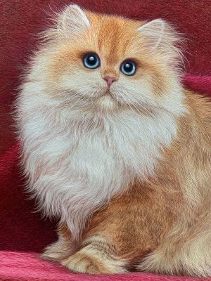 Pet Portrait Embroidery